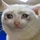 doduyan's avatar